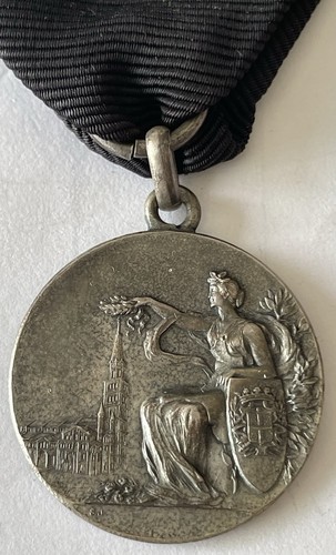 Medaglia consiglio provinciale - medaglia,