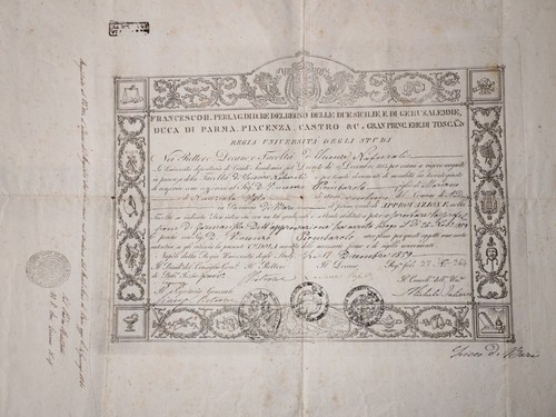 Laurea farmacista anno 1859 - laurea,