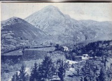 COLLALTO SABINO OPACA  NON  VIAGGIATA   PINETA