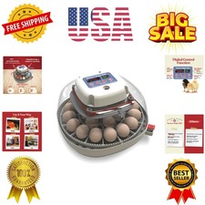 Nurture right egg - right, incubator
