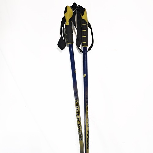 Coppia bastoncini sci - di,