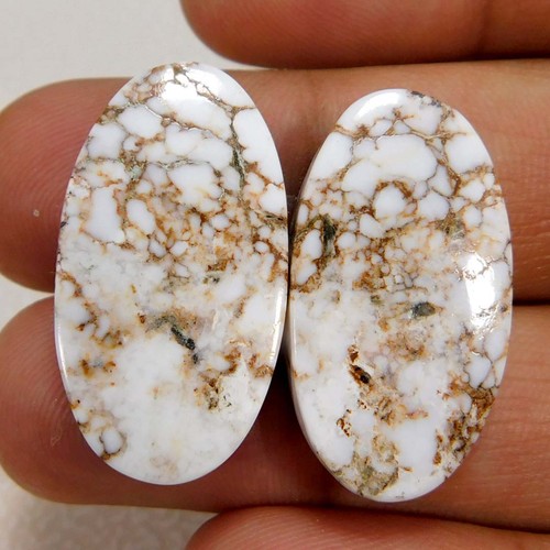 90cts cavallo selvatico - 40,90cts.,