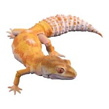 Bandai Gashapon Leopard Gecko