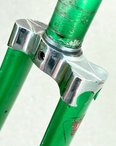 Forcella raleigh carlton - forcella,