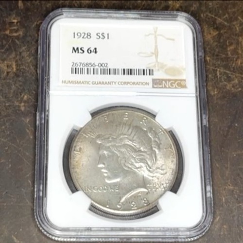 1928 dollaro della pace ngc - della,