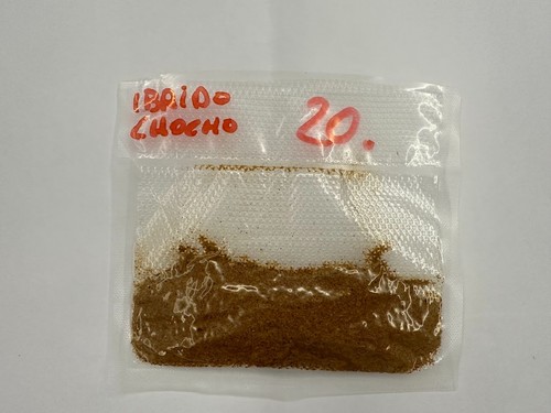Peperoncino piccante ibrido - peperoncino,