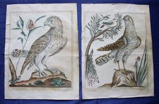 Maddalena Bouchard - Recueil