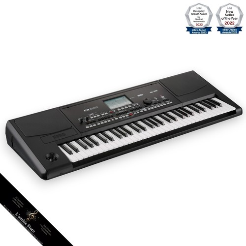 Korg pa300 sintetizzatore - korg,