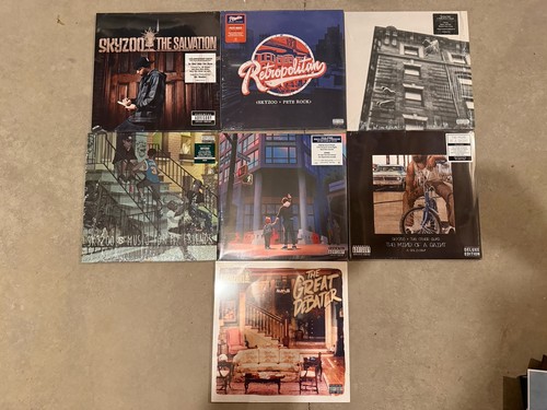 Skyzoo vinyl record - skyzoo, of