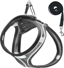 Pettorina Cane Taglia S H