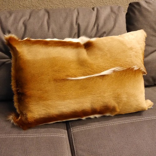 Pezzo cuscino peluche a - cuscino, in