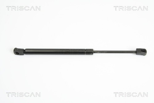 Molle gas cofano triscan - a,