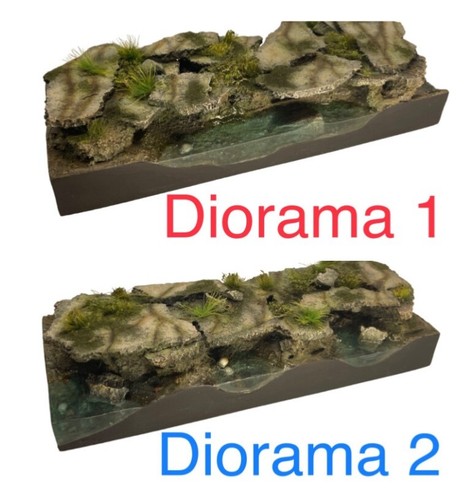 Diorama con acqua - palude, base