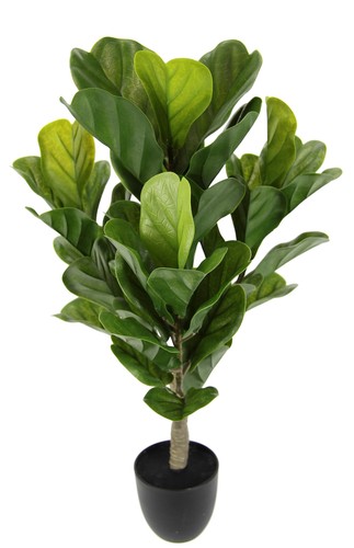 Pianta artificiale fico - pianta,