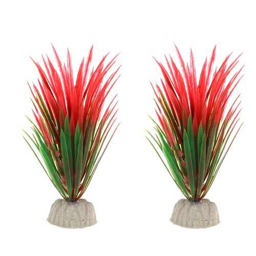 2pz acquario piante - 2pz,