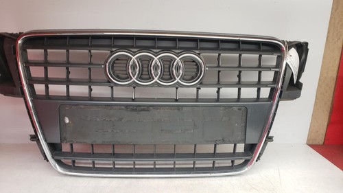 Griglia anteriore - griglia, audi