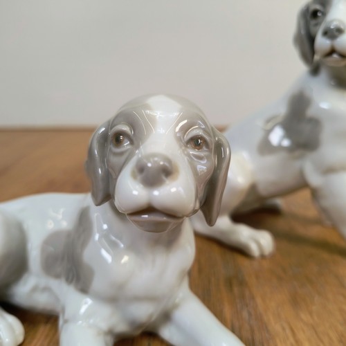 Coppia statuine cane beagle - coppia,
