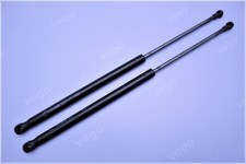 2 Pezzi Gasfeder Dämpfer