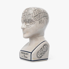 Phrenology - Testa Ornamentale