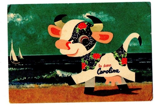 Mucca carolina invernizzi - mucca,