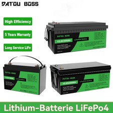 Batteria al litio 12V 100Ah 200Ah 300Ah LiFePO4 BMS batteria camper 15000+ cicli