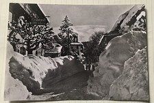 Vecchia Foto Cartolina MALESCO