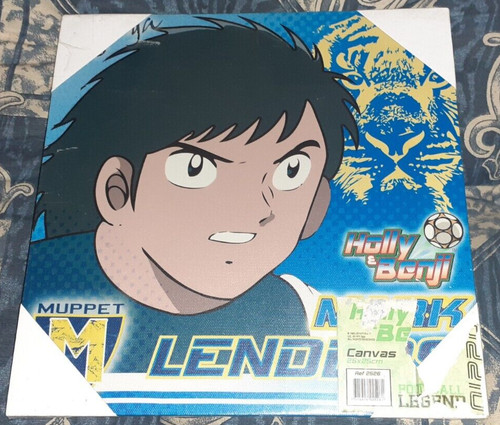 Canvas calciatori manga holly - canvas,
