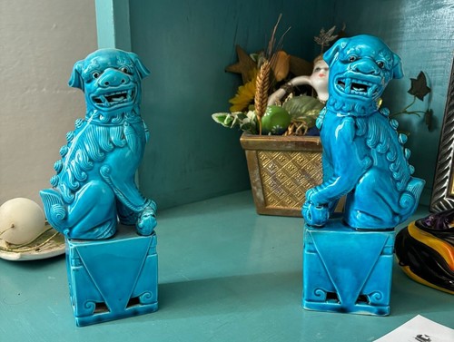 Coppia cane smaltato - coppia, di