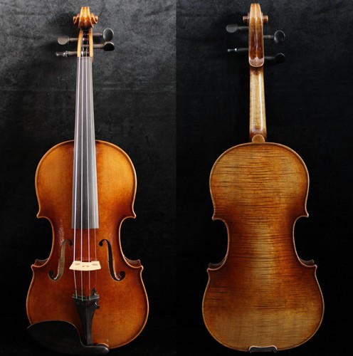 Amazing master violino - master,