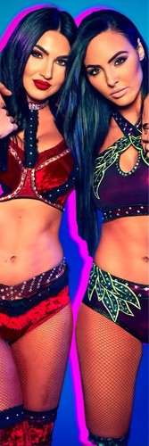 Wwe wrestlemania banner - 41,