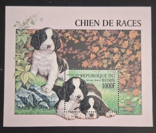 Benin 1998 michel 41 razze - benin,