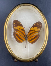 Quadro ovale miniatura con