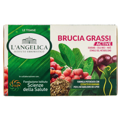 Angelica tisana brucia - tisana,