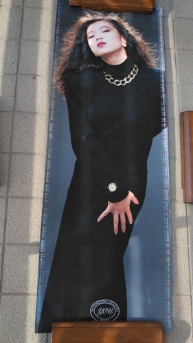 Akina nakamori 1988 calendario - akina,