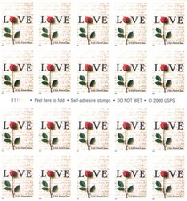 Amore 2001. Tipo di prima classe.