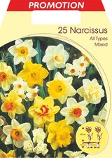BULBI AUTUNNALI NARCISO ALL TYPES MIX CONFEZIONE DA 25 BULBI BULBS BULBES