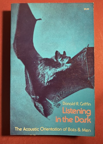 Listening the dark - listening, in