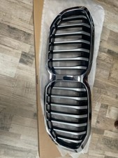 Griglia Frontale paraurti anteriore rene Calandra Bmw Serie 1 F40 