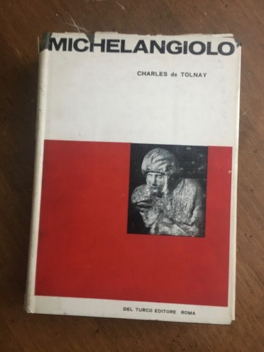 Arte michelangelo - arte,