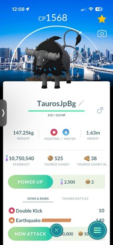 Pokémon paldean tauros - pokémon,