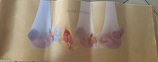 quadro Anne Geddes