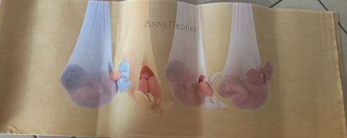 Quadro anne geddes - quadro,