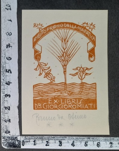 Wunderkammer exlibris 620 - wunderkammer,