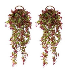 duisoad FUJIE 2 PCS Edera