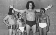 WRESTLING SUPERSTARS -  ANDRE