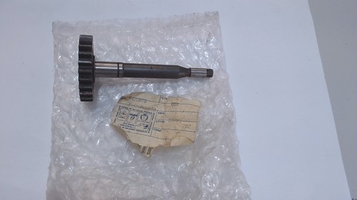 Ingranaggio pompa olio gilera - ingranaggio,