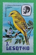 Lesotho 1981 (Africa)