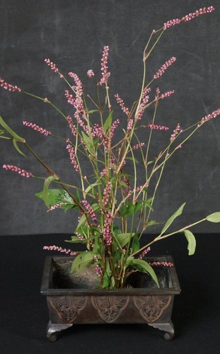Vaso bacino ikebana giappone - bacino,