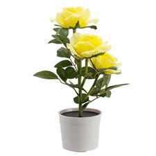 Luci di fiori di rosa solare