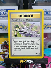 Pokemon Brock's Training